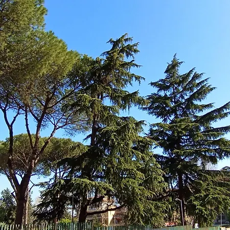 Pensionat Casa Aura Rom