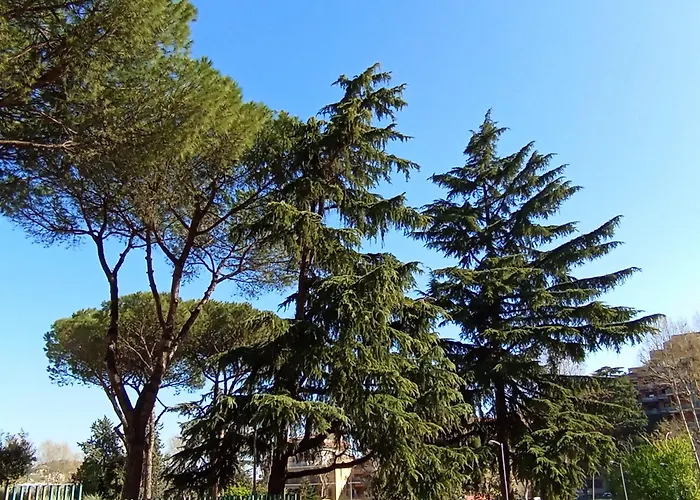 Guest house Casa Aura Rome